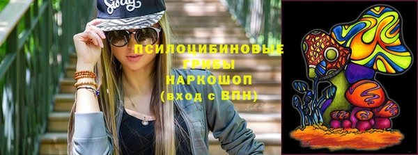 СК Галич
