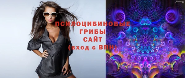mix Осинники