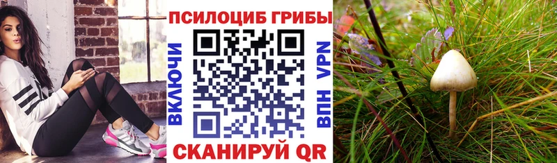 Псилоцибиновые грибы ЛСД  Анжеро-Судженск 