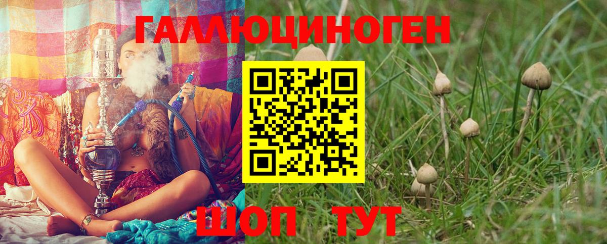 Псилоцибиновые грибы ЛСД Анжеро-Судженск